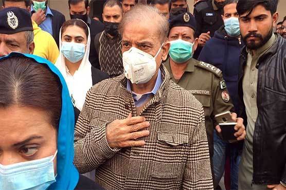 سینیٹ انتخابات : شہباز شریف کی لاہور میں ووٹ کاسٹ کرنے کی درخواست مسترد