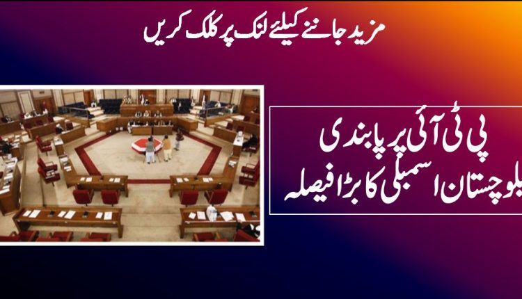 پی ٹی آئی پر پابندی بلوچستان اسمبلی کا بڑا فیصلہ