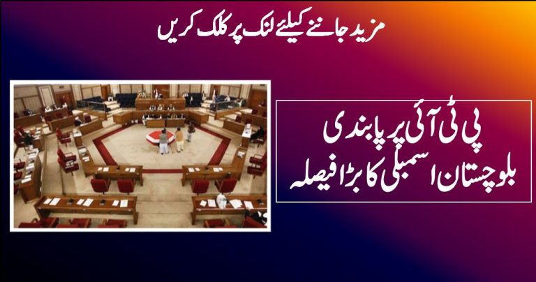 پی ٹی آئی پر پابندی بلوچستان اسمبلی کا بڑا فیصلہ