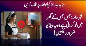 جس جس کے گھر میں نوکرانی ہے وہ یہ ویڈیو ضرور دیکھیں