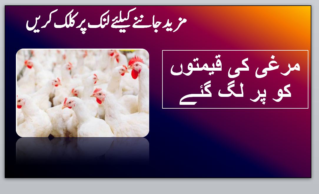 مرغی کی قیمتوں کو پر لگ گئے